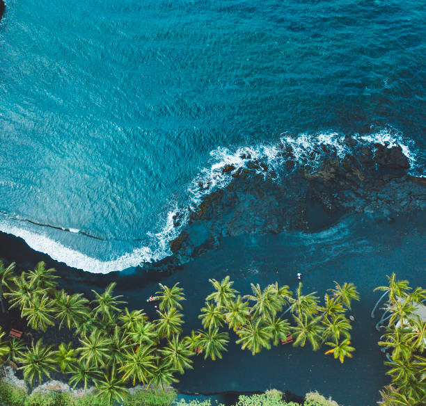Aerial view of black sand beach with palm trees and turquoise ocean waves at Santa Fe Beach House Limbola